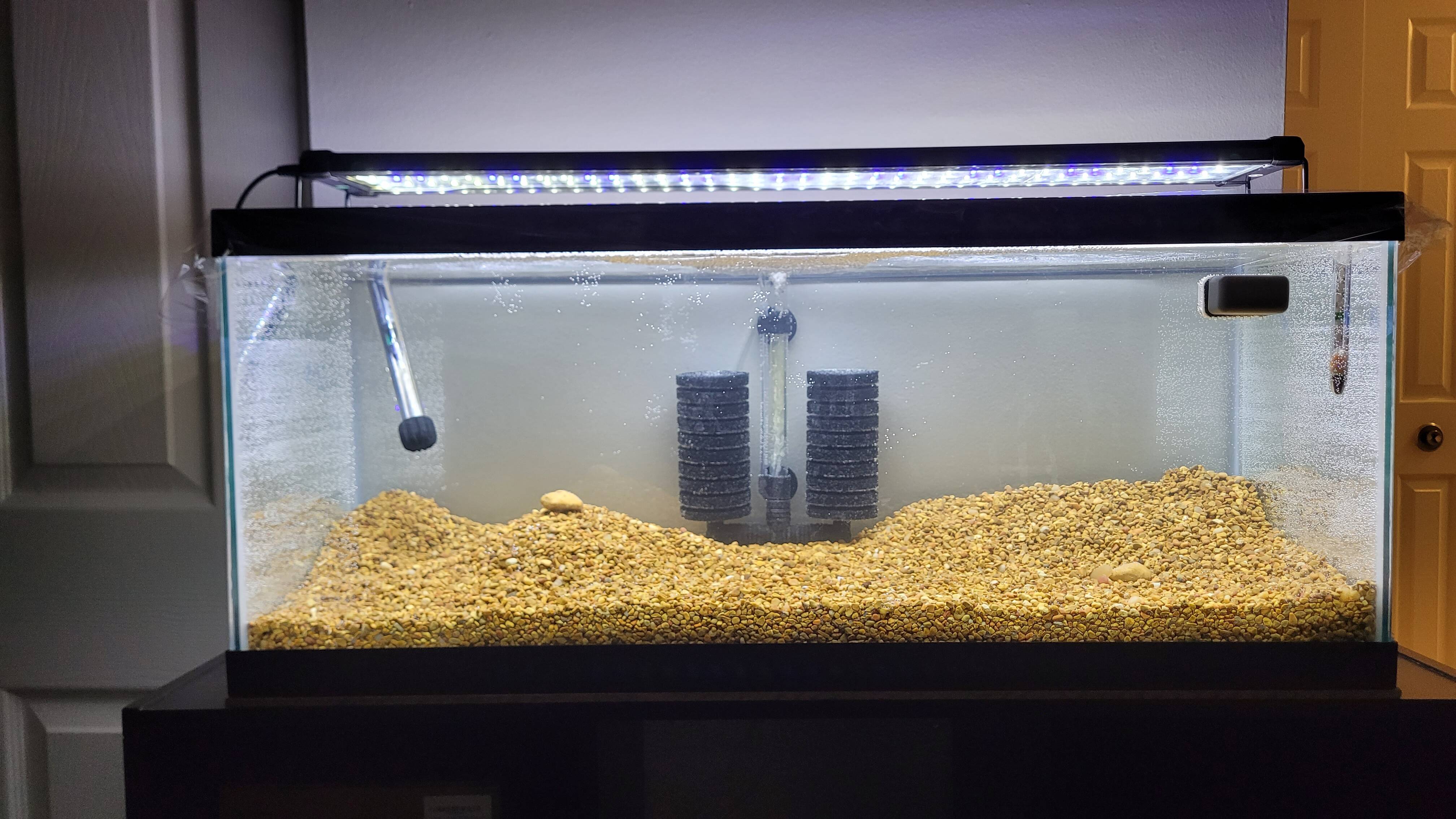 New Fishtank With Water