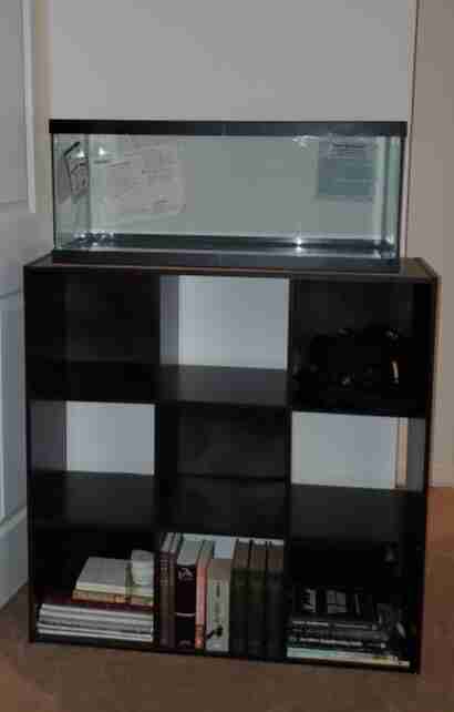 Shelf With Tank